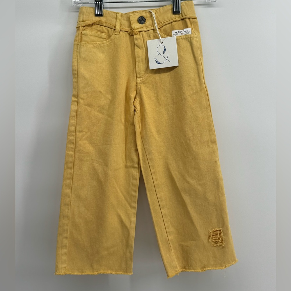 NWT Poppet & Fox distressed wide leg pants. Size 4